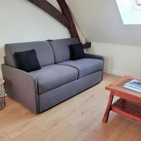 Appartement Au Centre Ville De 상스 외부 사진