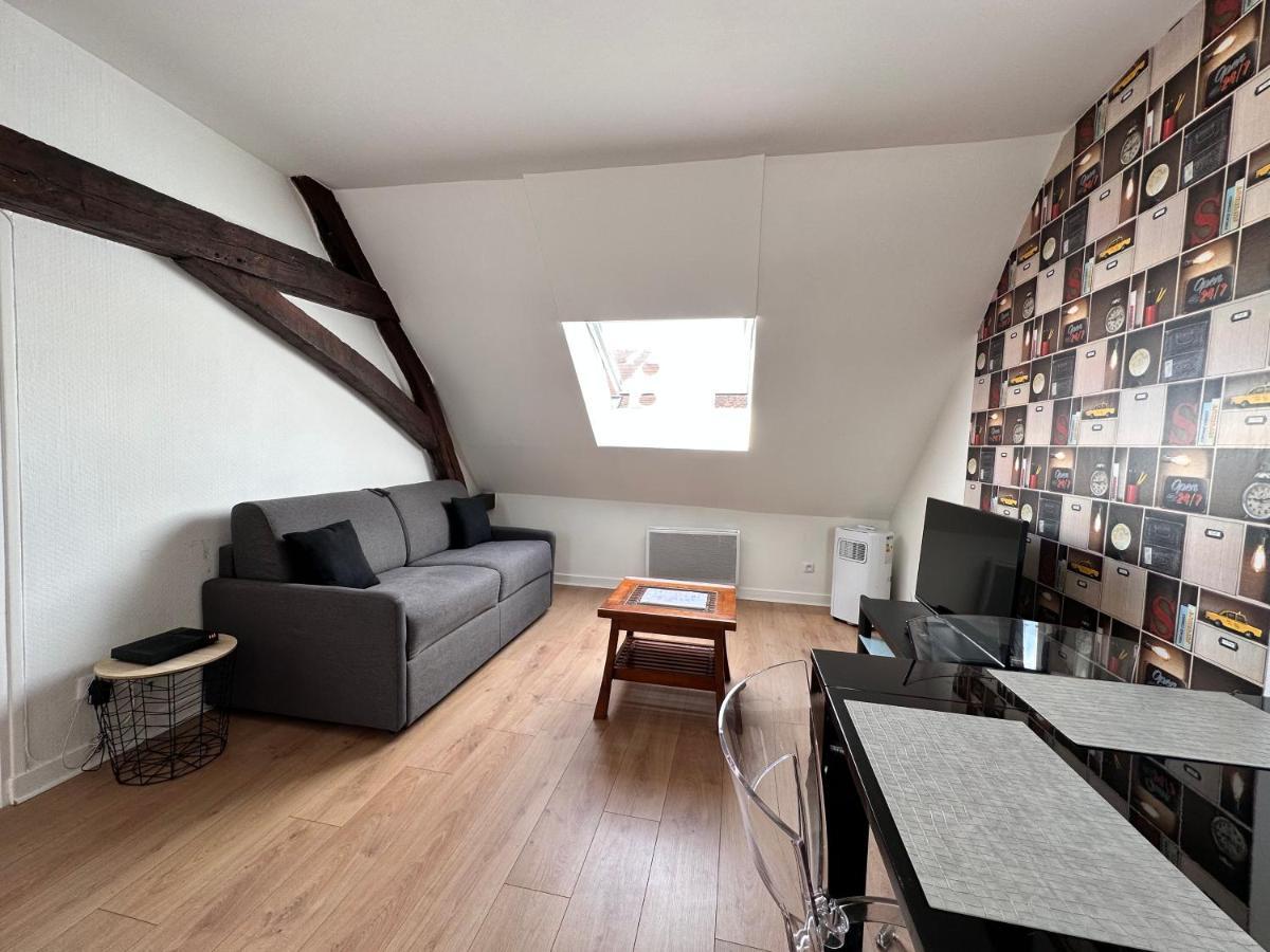 Appartement Au Centre Ville De 상스 외부 사진